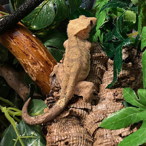 Meet your Posher, Finnmill